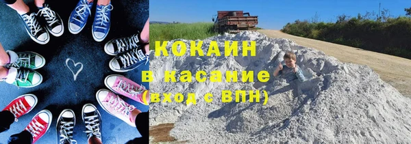 шишки Абинск