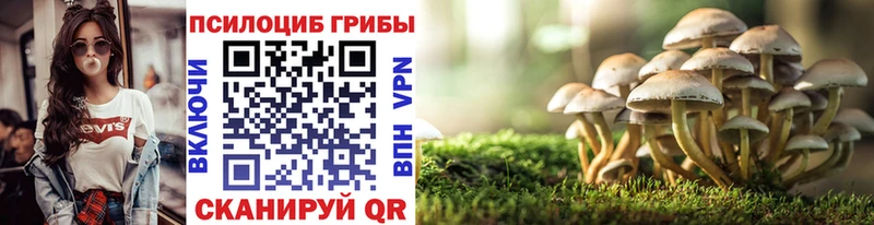 Псилоцибиновые грибы GOLDEN TEACHER купить закладку Чулым